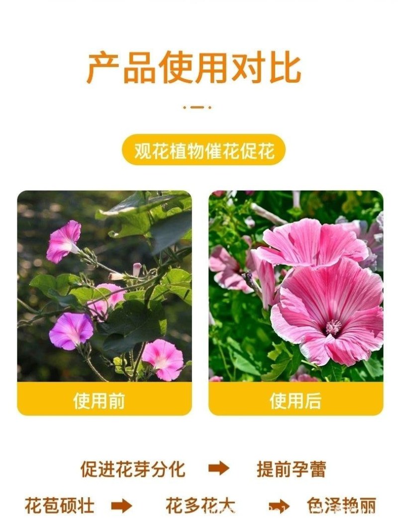 豆饼肥料氮磷钾通用花肥复合肥生物油渣菌肥蔬菜花卉有机肥