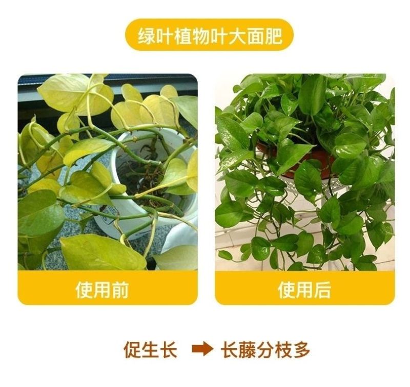 豆饼肥料氮磷钾通用花肥复合肥生物油渣菌肥蔬菜花卉有机肥