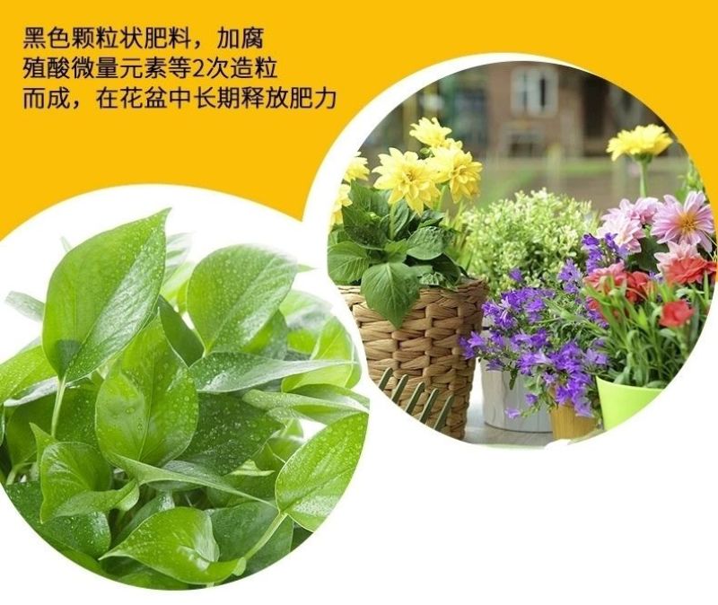豆饼肥料氮磷钾通用花肥复合肥生物油渣菌肥蔬菜花卉有机肥