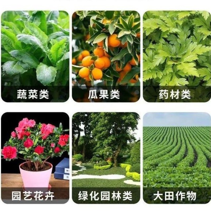 豆饼肥料氮磷钾通用花肥复合肥生物油渣菌肥蔬菜花卉有机肥