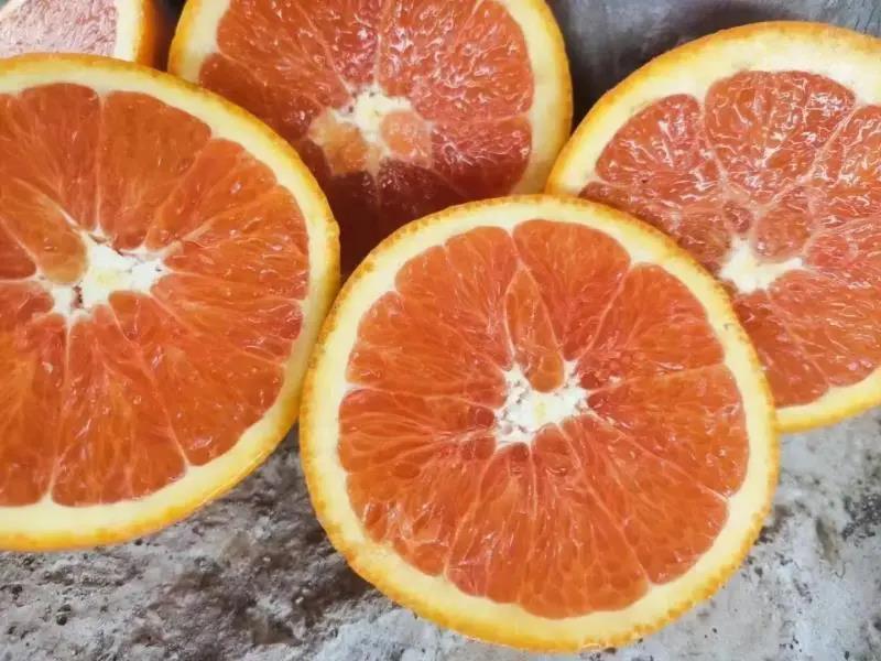 [荐]血橙湖北橙子柑橘产地血橙多汁欢迎来电采购