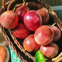 [一件]新鲜百香果5斤大果特级当季水果云南广西新鲜百