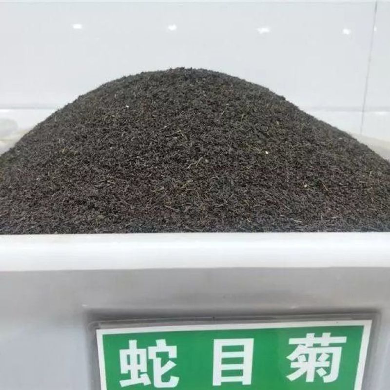 蛇目菊种子金钱菊孔雀菊花海制造蛇目菊草花种籽室外景观庭院