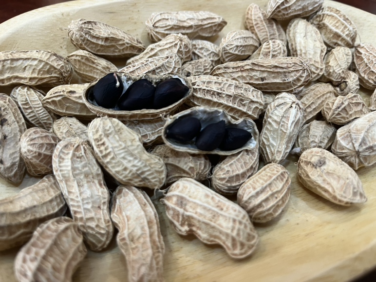 展示花生营养成分比例的图表 花生营养图解