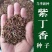 紫丁香种子丁香树种子北方耐寒优质紫丁香花种子暴马丁香种子