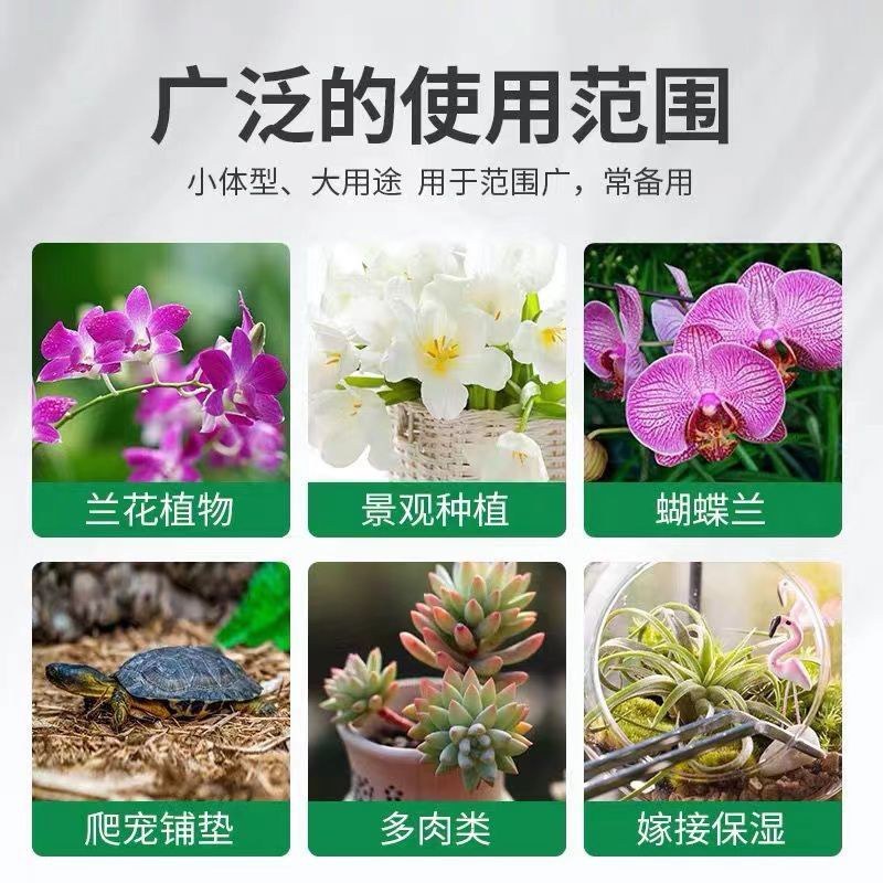 水苔干苔藓植物爬宠乌龟冬眠垫材兰花蝴蝶兰铁皮石斛种