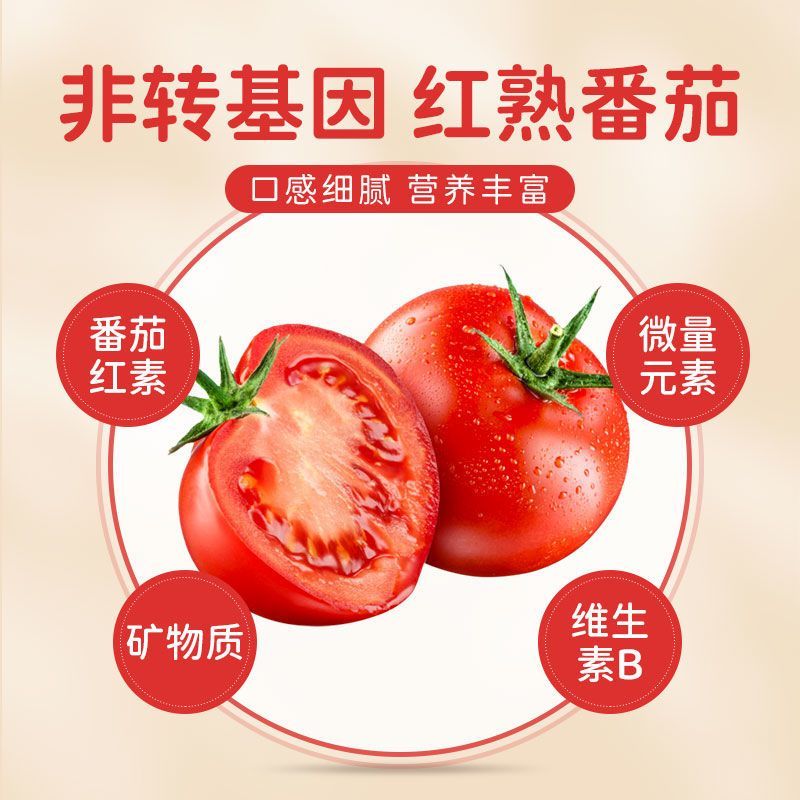 千味稻番茄沙司家用5斤桶装大容量0脂肪薯条手抓饼专用番茄