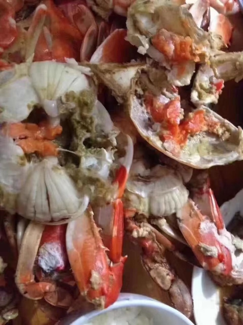 三眼蟹三目蟹三点蟹红星梭子蟹枪蟹海虫水蟹门蟹盖鱼童蟹