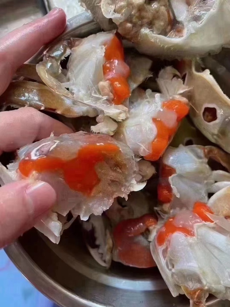 三眼蟹三目蟹三点蟹红星梭子蟹枪蟹海虫水蟹门蟹盖鱼童蟹