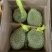 液氮金枕榴莲金枕榴莲树熟榴莲冷冻榴莲液氮果电商果干尧榴莲