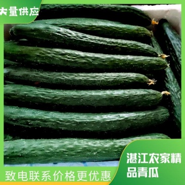 精品密刺青瓜产地直发品质优选农户现摘黄瓜，青瓜。