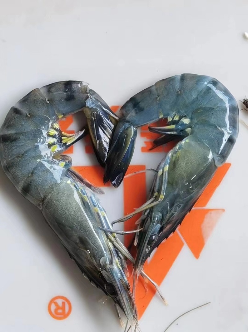 AAAAA级别青虾滑纯手打青虾滑味道鲜美一手直供