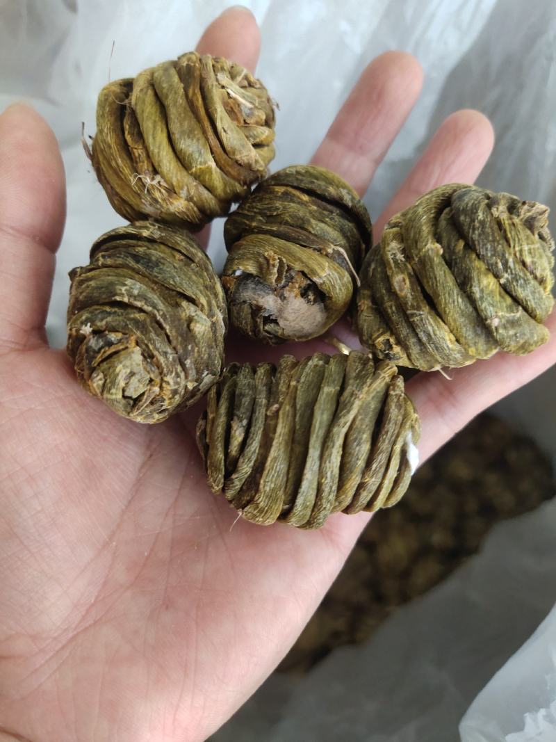 特价云南产地珍虫石斛珍虫枫斗空心虫枫斗批发1斤包邮