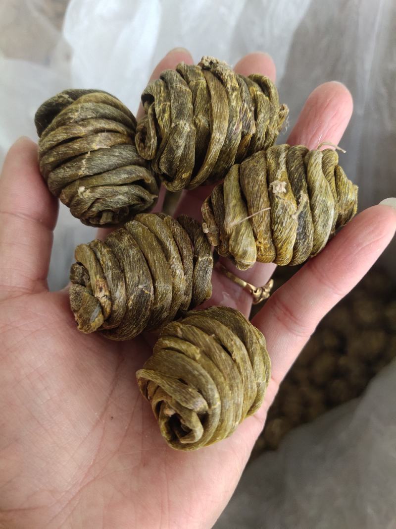 特价云南产地珍虫石斛珍虫枫斗空心虫枫斗批发1斤包邮