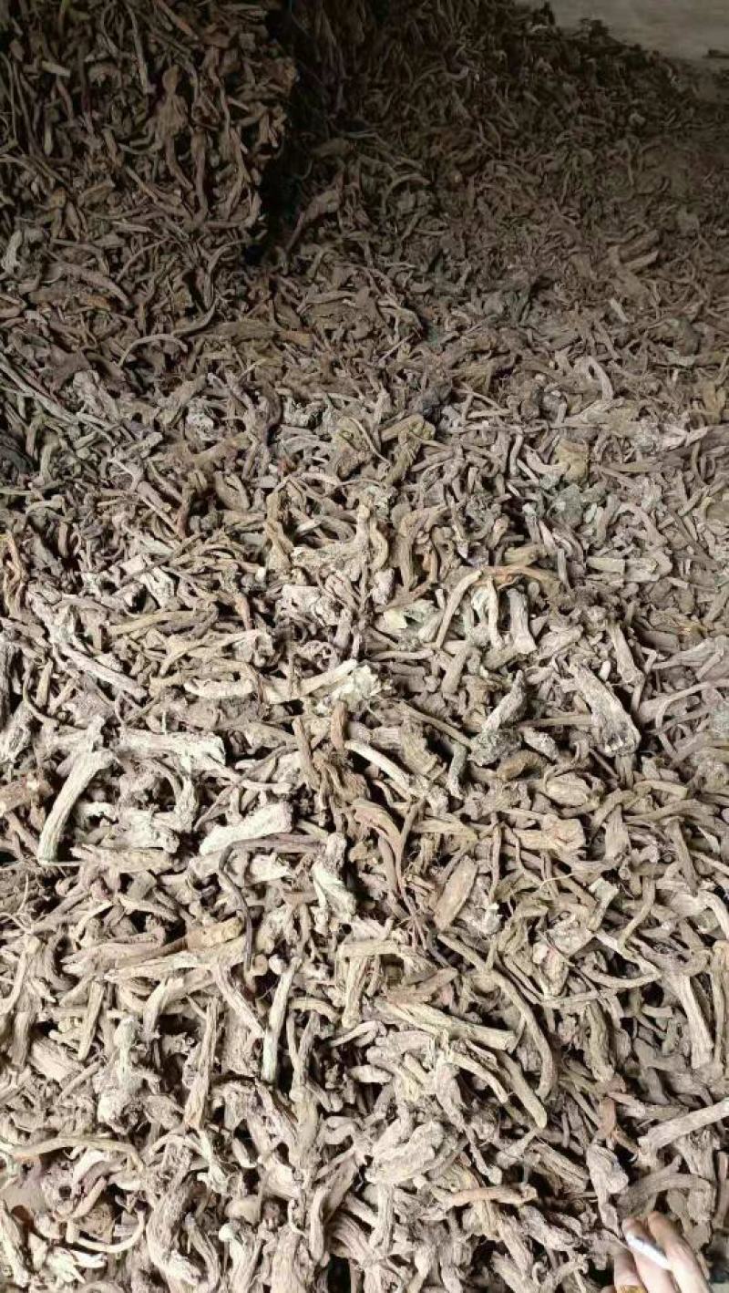 木香统货，可常年供应