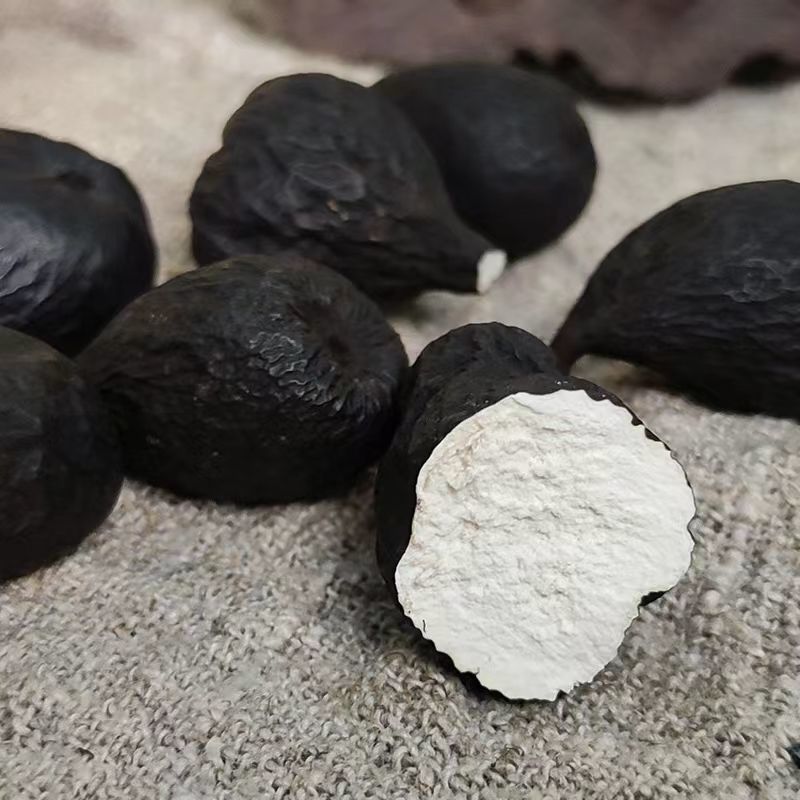 正宗云南乌灵参鸡纵蛋乌苓参法师干货乌灵参雷震子