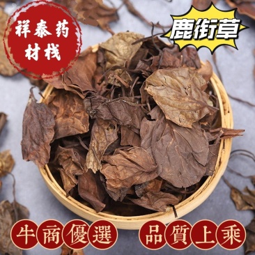 鹿衔草产地内蒙今年新货量多从优品质优良祥泰药材栈欢迎购