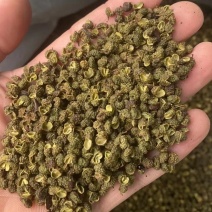 青花椒开口概率98%