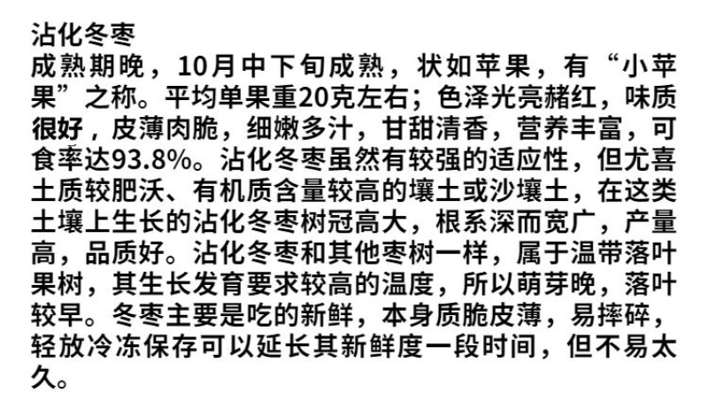 沾化冬枣苗嫁接苗包成活包结果支持技术指导可签合同