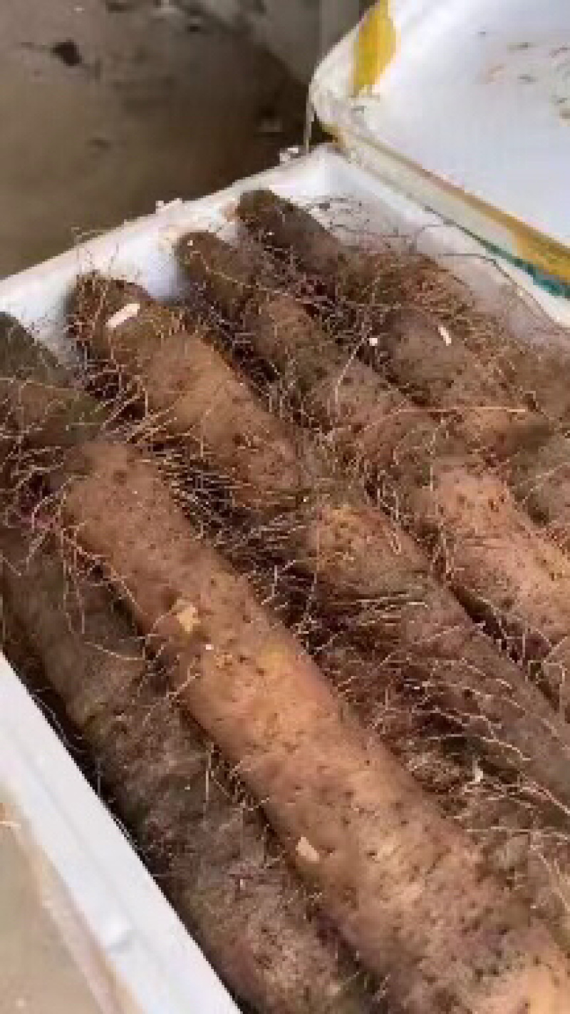 新鲜淮山药。欲购从速。