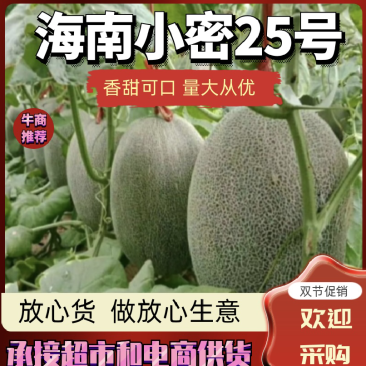 小蜜25号