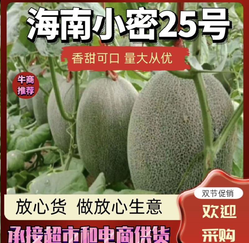 小蜜25号