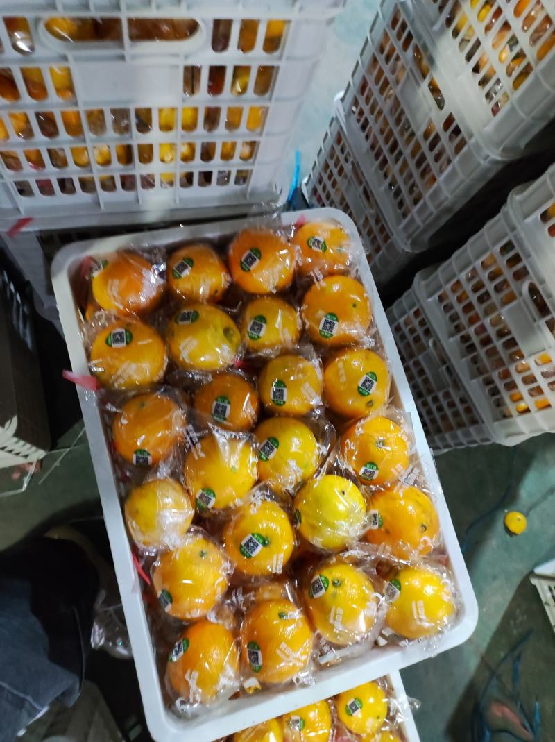 冰糖橙的甜蜜三峡秭归纽荷尔脐橙，长虹脐橙大个头，细皮嫩肉