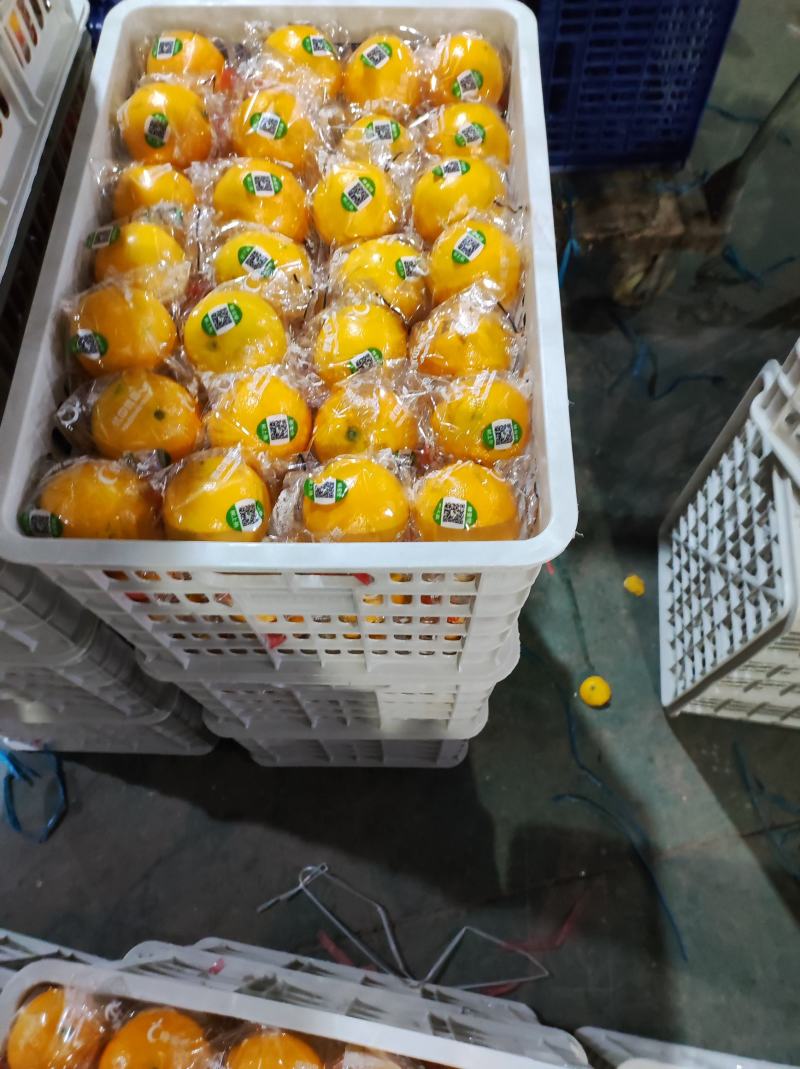 冰糖橙的甜蜜三峡秭归纽荷尔脐橙，长虹脐橙大个头，细皮嫩肉