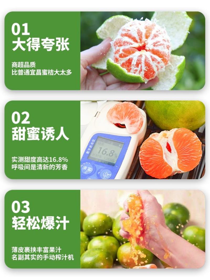 【精选】湖北高山蜜橘一手货源承接电商档口商超