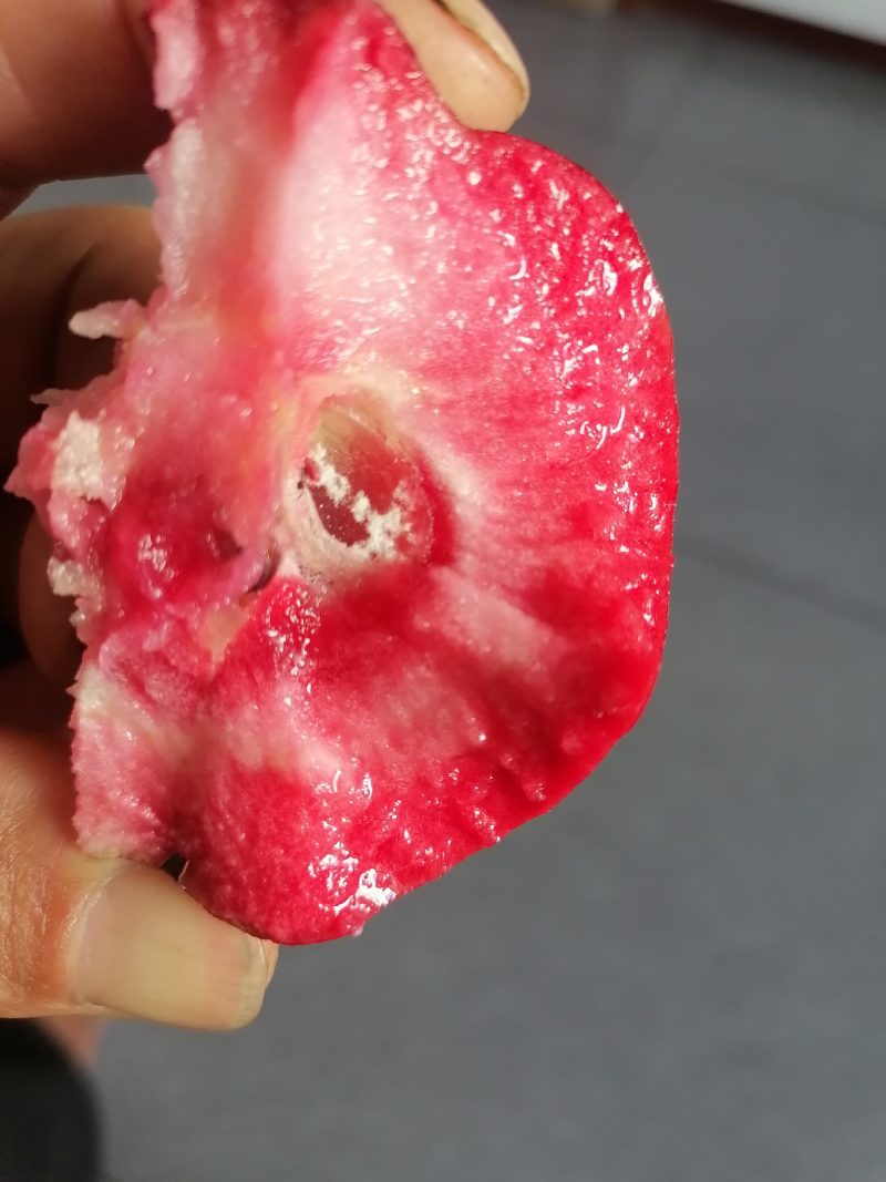 红肉苹果，产地中国辽宁丹东。花青素苹果，里外全红。