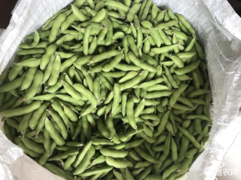 青毛豆