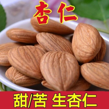 【杏仁中药材】无硫甜杏仁苦杏仁带皮杏仁包邮