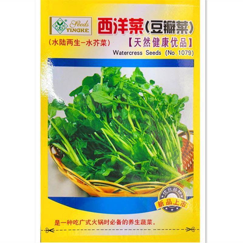 西洋菜种子，25克，0.3克1000粒，两袋一亩地
