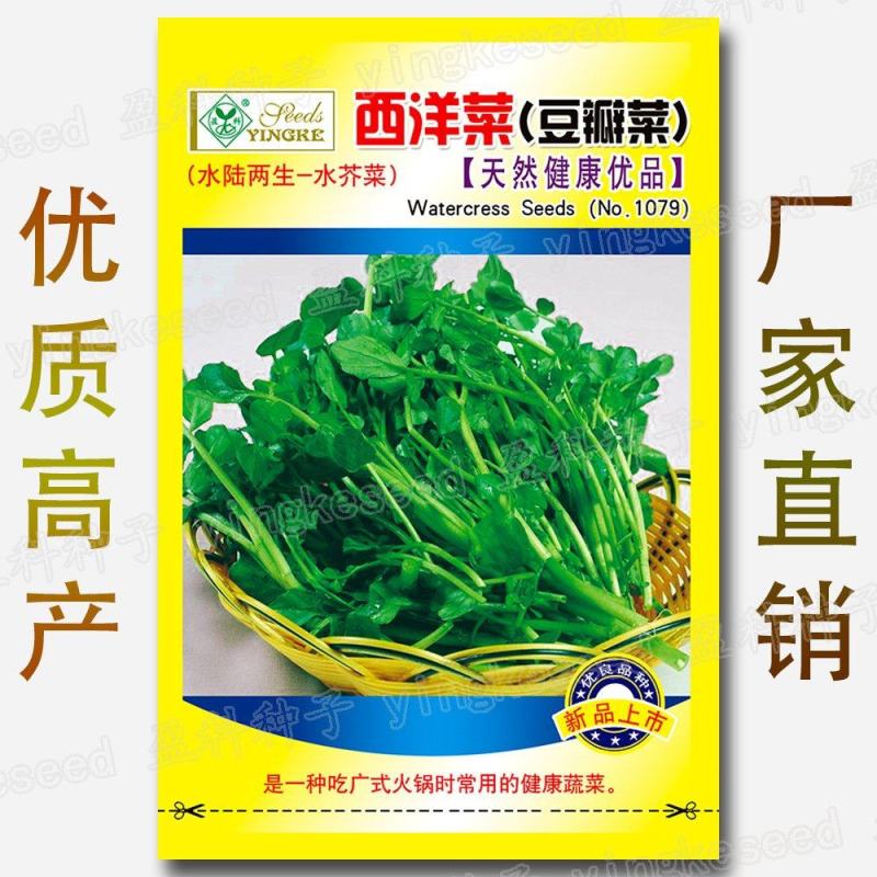 西洋菜种子，25克，0.3克1000粒，两袋一亩地