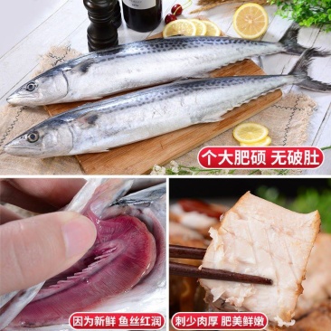 深海新鲜大鲅鱼鲜切鲅鱼段无冰鲅鱼块特大鲐鲅鱼燕鲅鱼马鲛鱼