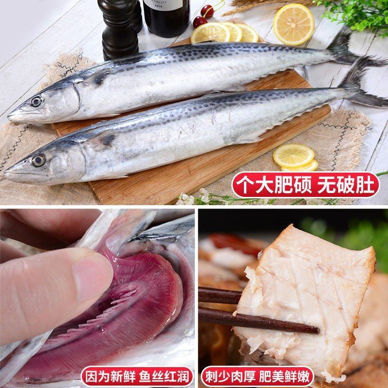 深海新鲜大鲅鱼鲜切鲅鱼段无冰鲅鱼块特大鲐鲅鱼燕鲅鱼马鲛鱼