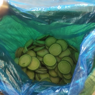 山东青岛莱西大量供应水果萝卜