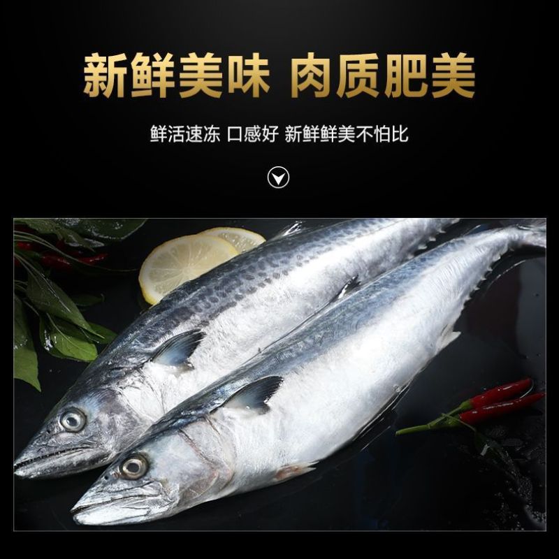 深海新鲜大鲅鱼鲜切鲅鱼段无冰鲅鱼块特大鲐鲅鱼燕鲅鱼马鲛鱼