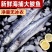 深海新鲜大鲅鱼鲜切鲅鱼段无冰鲅鱼块特大鲐鲅鱼燕鲅鱼马鲛鱼