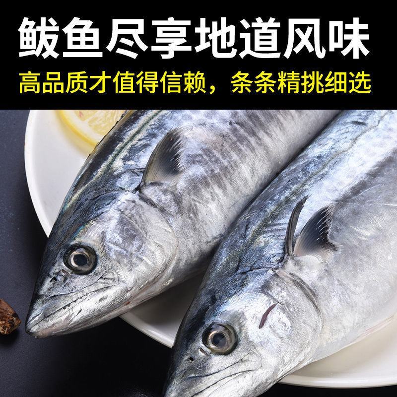 深海新鲜大鲅鱼鲜切鲅鱼段无冰鲅鱼块特大鲐鲅鱼燕鲅鱼马鲛鱼