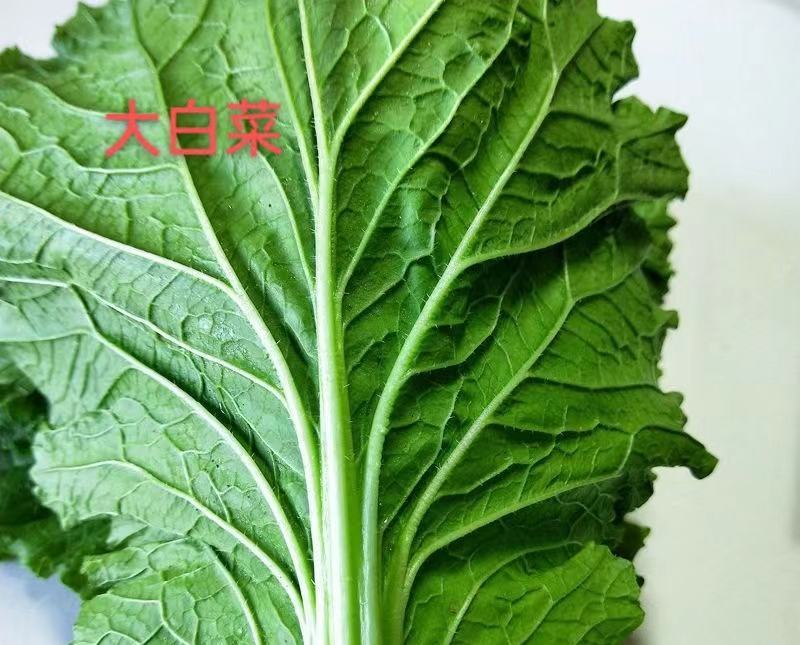 急急需供货