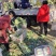 山东有机菜花大量上市，全国发货，保质保量，产区种植基地
