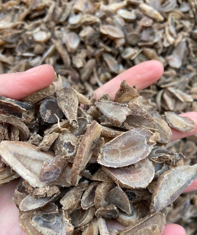 郁金统装500g产地山东振兴药材购销站量大从优