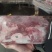 1号肉（整块）色泽新鲜，价格便宜，性价比高，欢迎新老客户
