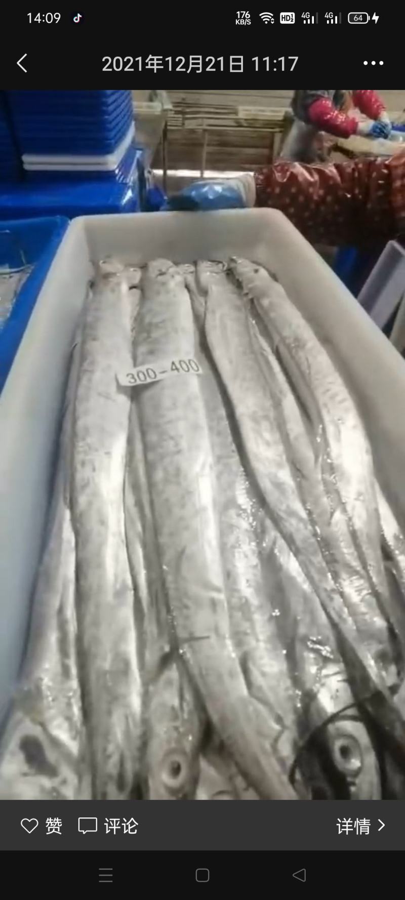 带鱼，鲜冻黄海带鱼，油炸，油焖，质量保证全国各地发货