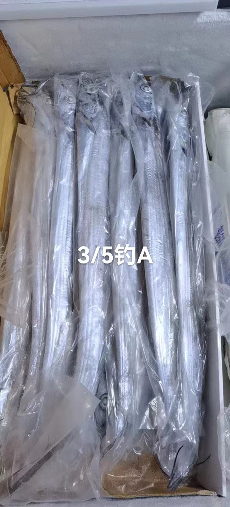 带鱼，鲜冻黄海带鱼，油炸，油焖，质量保证全国各地发货