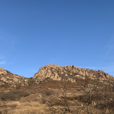 山东省烟台莱州市有小房子种植养殖山地土地