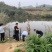 山东省烟台莱州市有小房子种植养殖山地土地