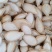 自己种植生南瓜籽颗粒饱满