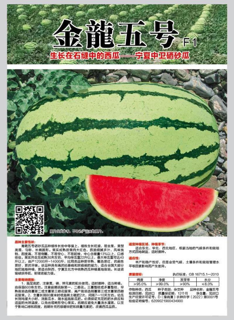 硒砂瓜省事西瓜缅甸甜王西瓜种子甜度高品质好大红瓤口感好